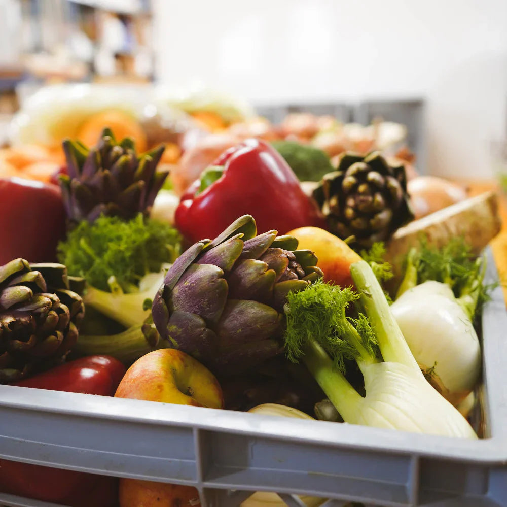 Productos fermentados LivQ.  bio