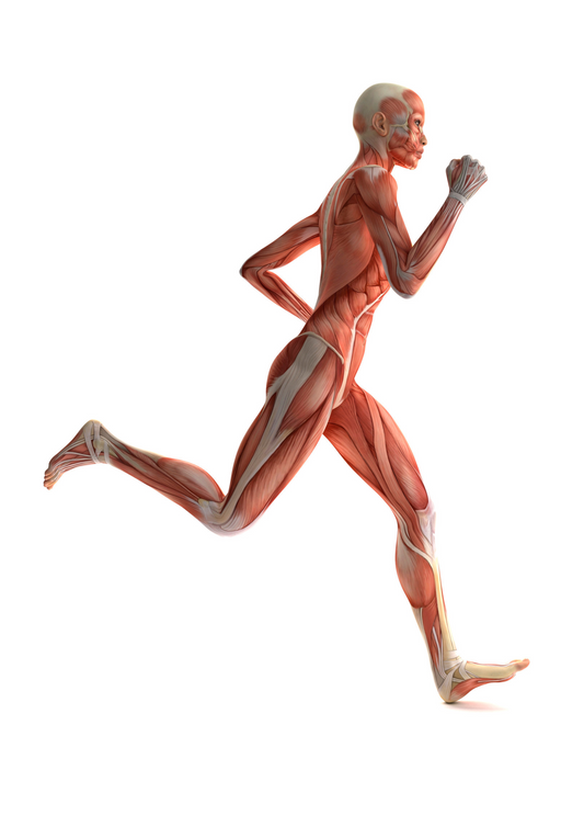 SILHARPAGO BIO Labo Santé Silice. 1 litro. MOVILIDAD / FLEXIBILIDAD / COMODIDAD ARTICULAR&nbsp;