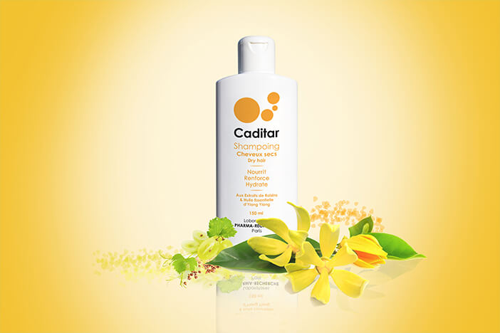 CADITAR Champú Cabello Seco  con extractos de uva e ylang ylang para aumentar la hidratación del cuero cabelludo.  Una triple acción sobre el cuero cabelludo:  Nutrido Fortalece Hidratar