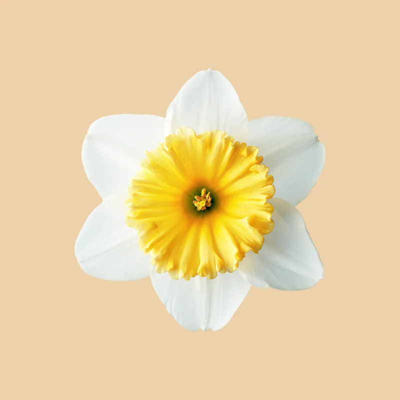 Sérum iluminador antimanchas Oxyprolane®