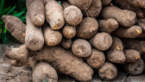 Biopause® - Bienestar natural para la menopausia (curso de 1 o 3 meses)